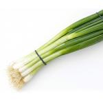 Green Onion