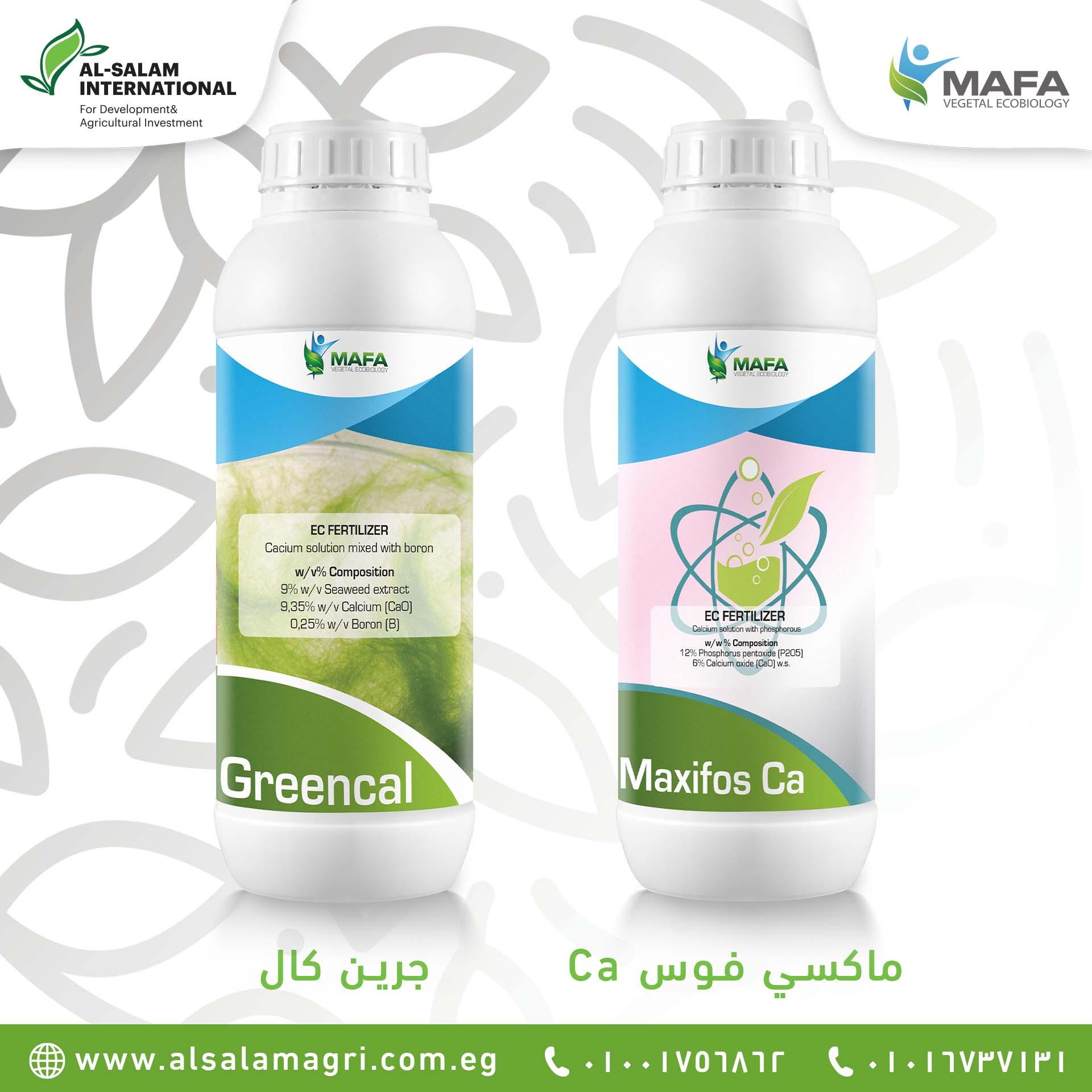 الكالسيوم والتغذية العلاجية