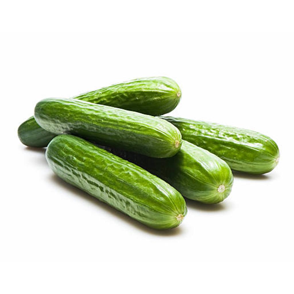 Seeds Sector