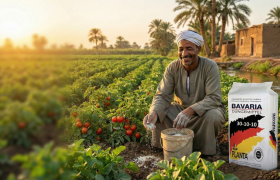 دليل pH الشامل: المستويات المثالية لكل محصول