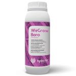 WeGrow Boro