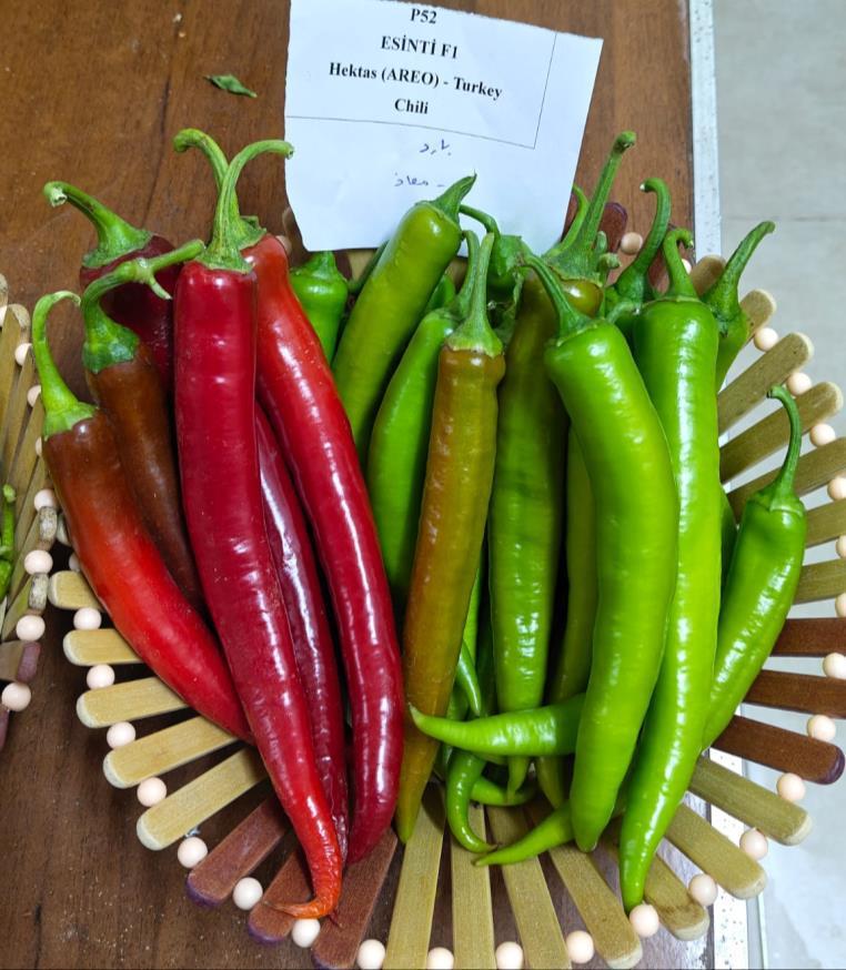 ESINITI – SWEET PEPPER